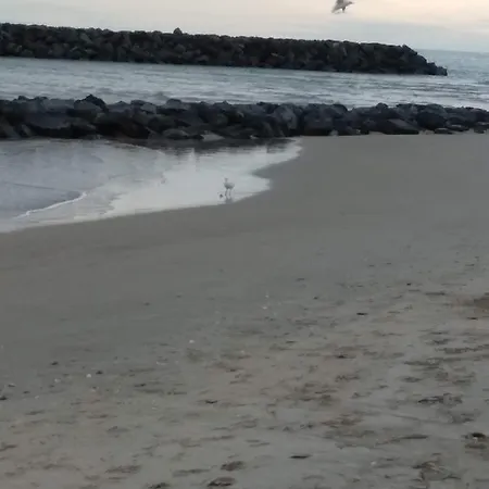La Palme D'or, Cap D'agde דירה